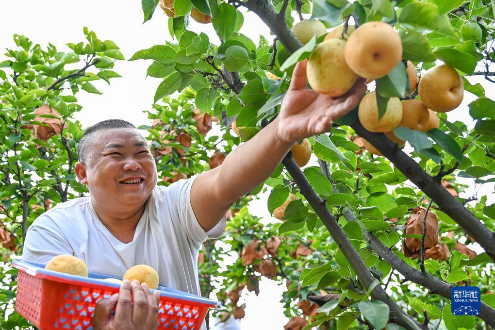 新时代赌城网